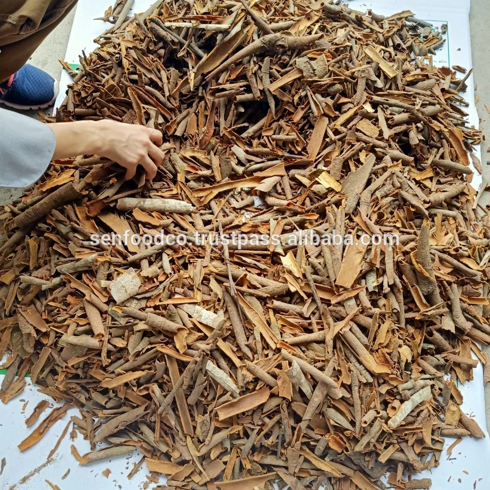 
Broken Cassia Supreme Quality for Mexico Market 