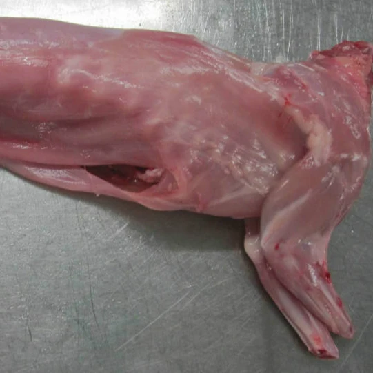 Bulk Cheap Price Frozen Raw Rabbit Skin From EUROPE For Sale Best Price