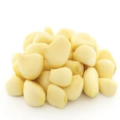 Свежий чеснок с большой кожей