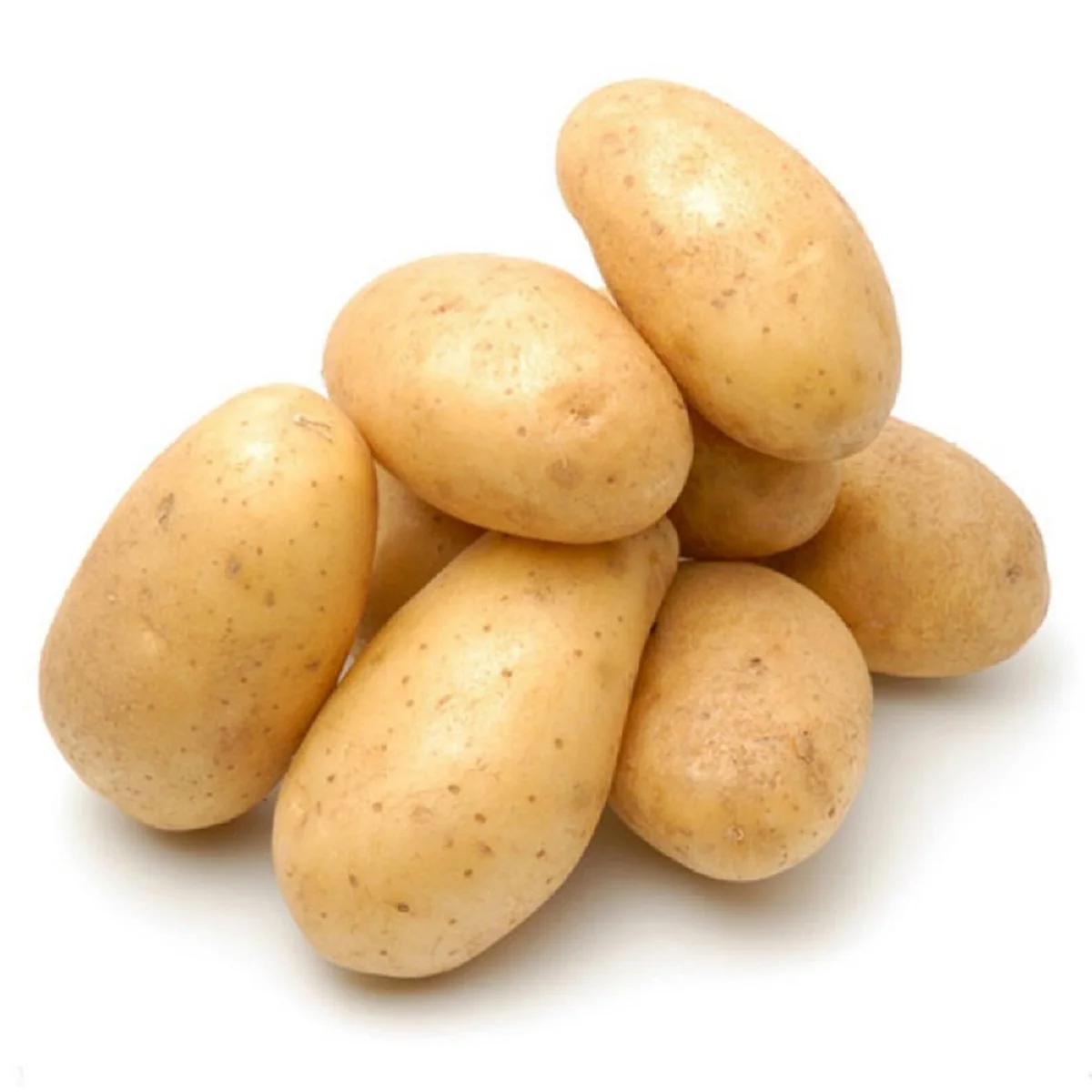 
Fresh Potato in Wholesale rate 