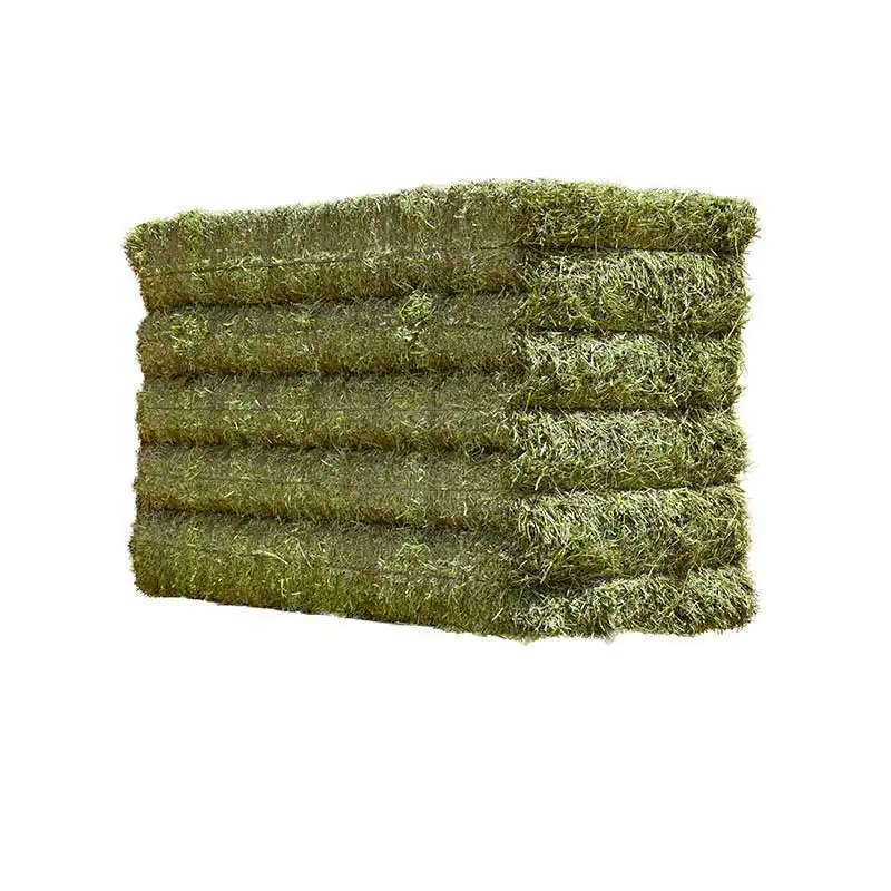Quality Alfalfa Hay Rhodes Grass Oats Ready / Animal