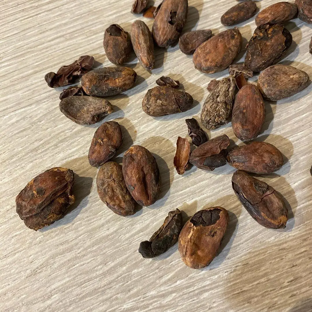 Высшее качество сушеные какао бобы/органические бобы/жареные бобы готовы для экспорта сейчас