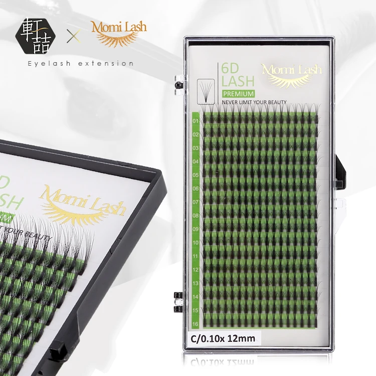New Private Label 6D Premade Fans Lashes Vietnam Volume Eyelashes