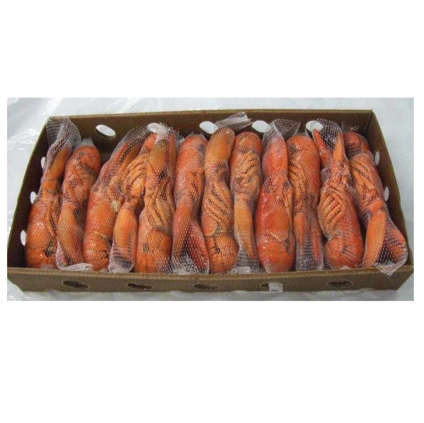 Лучший продавец морепродуктов с лобстерами по низкой цене