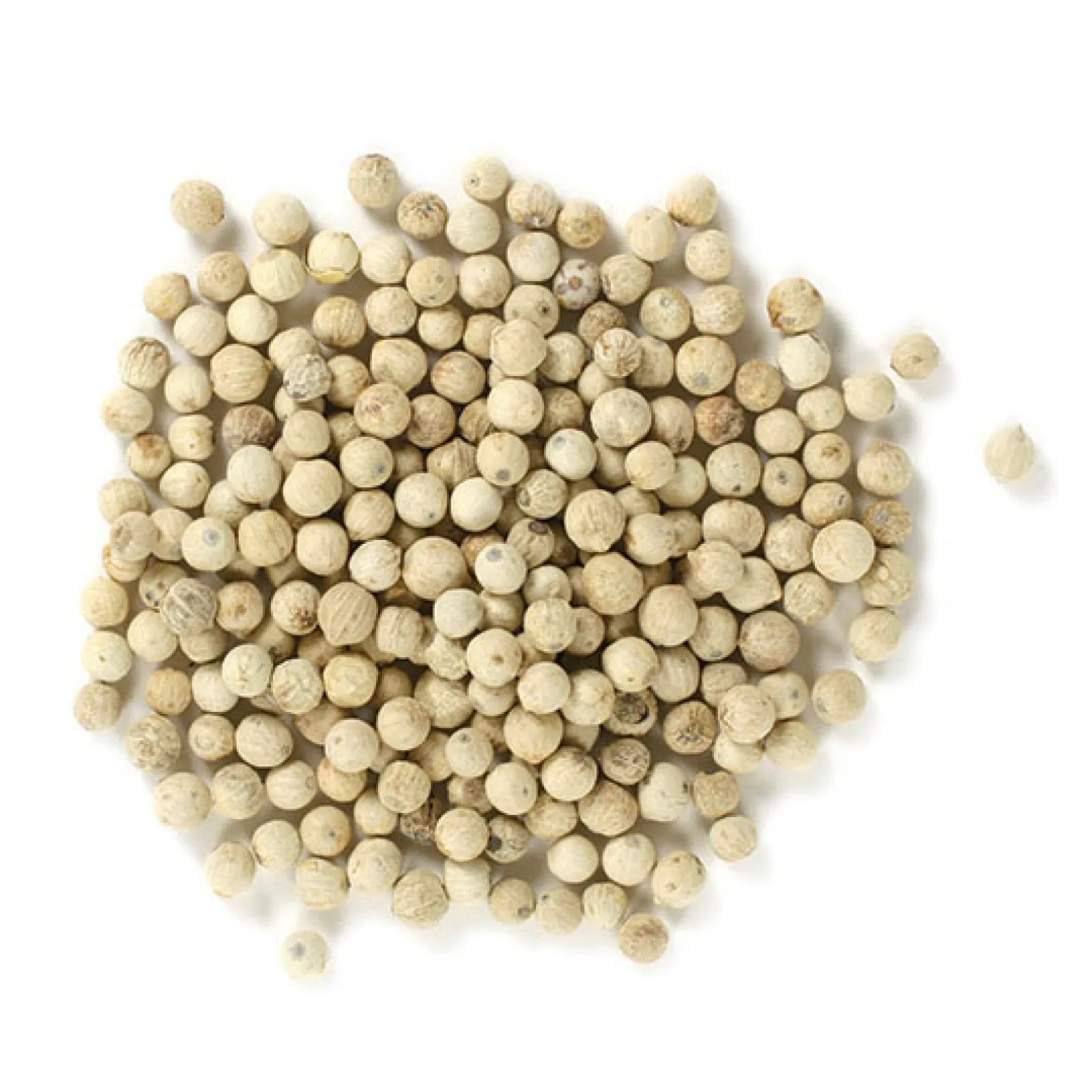 Vietnam Dried White Pepper With High Quality and Reasonable Price - White Pepper