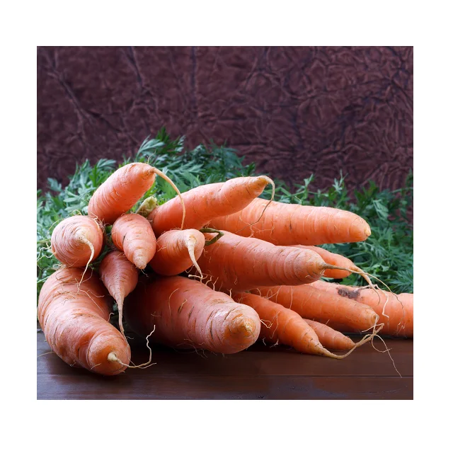 
100% Organic Natural Flavour Fresh Carrots In Wholesale Price 