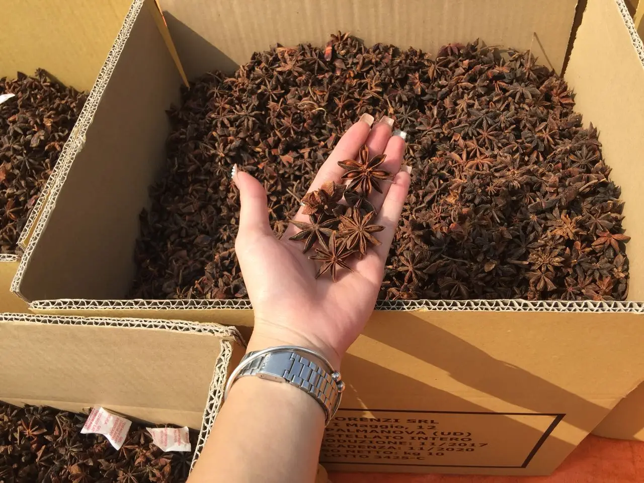 Сверхкачественный вьетнамский анис по хорошей цене специи и травы для пищевых ингредиентов специй от производителя WS + 84 326055616