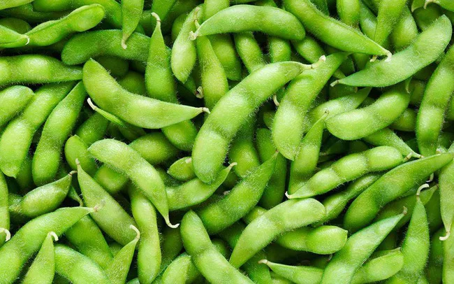  Экспорт высококачественных желтых соевых бобов новый урожай-Вьетнам