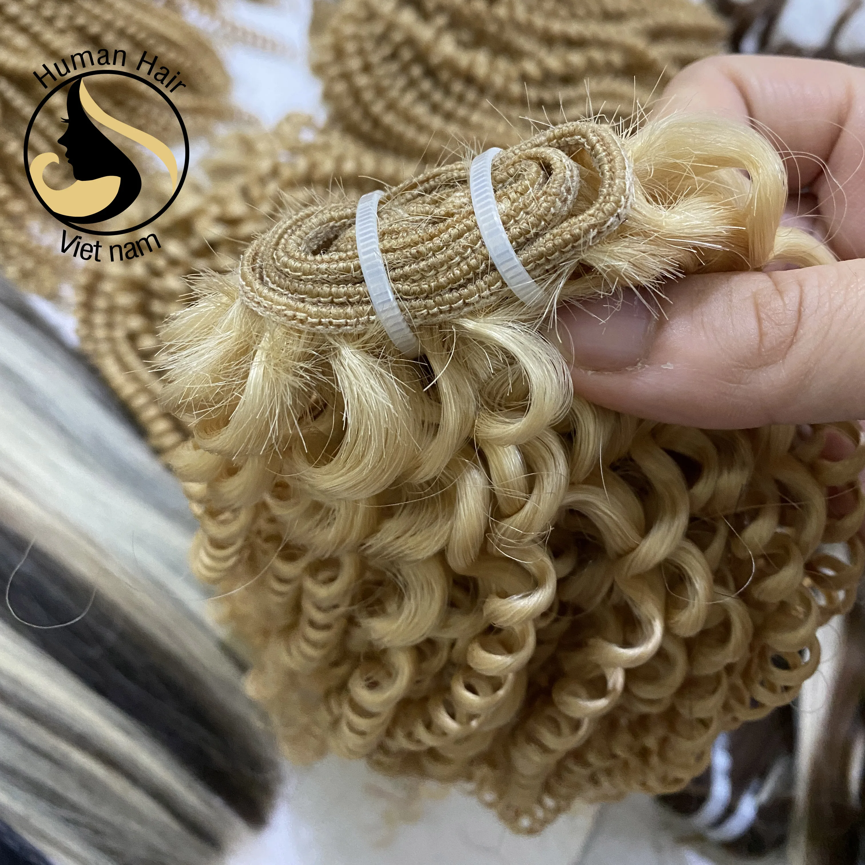 Double Drawn 100% Human Hair Vietnamese Kinky Curly Bundles Wave European/Russian 613 Blonde Hair