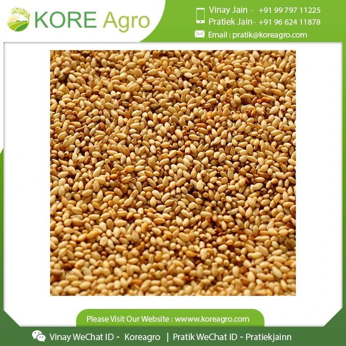 Organic Sesame Roasted For Wholesale Buyers Buy at Low Price