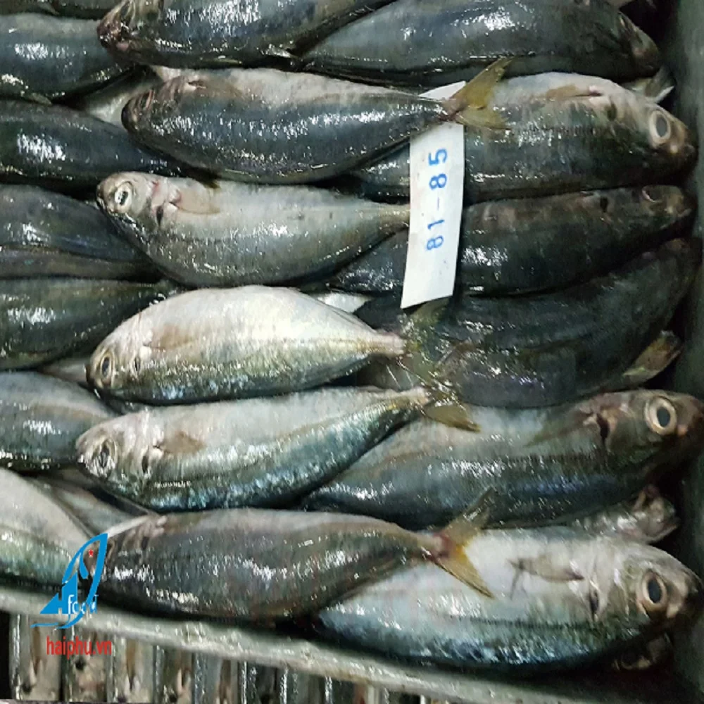 Хит продаж замороженная круглая рыба продукт компании Hai Phu с методом замораживания IQF в кунгай