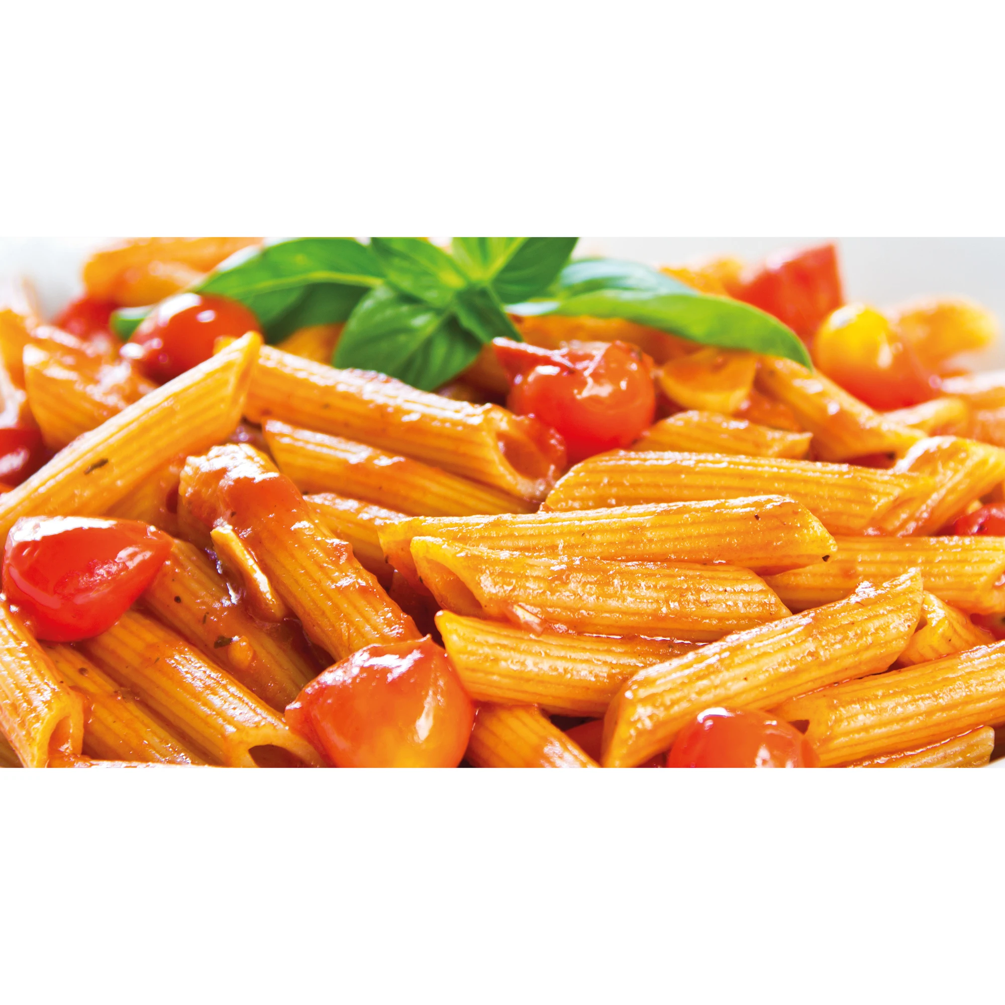 Italian Food Products Vegan Vegetarian Gourmet Food Italian Instant Food Ready to Eat Pasta Penne with Tomato and Basil 300 gr