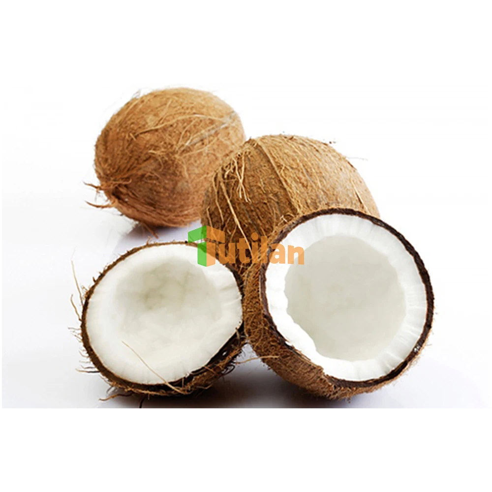 High Fat Desiccated Coconut in factory price original Vietnam