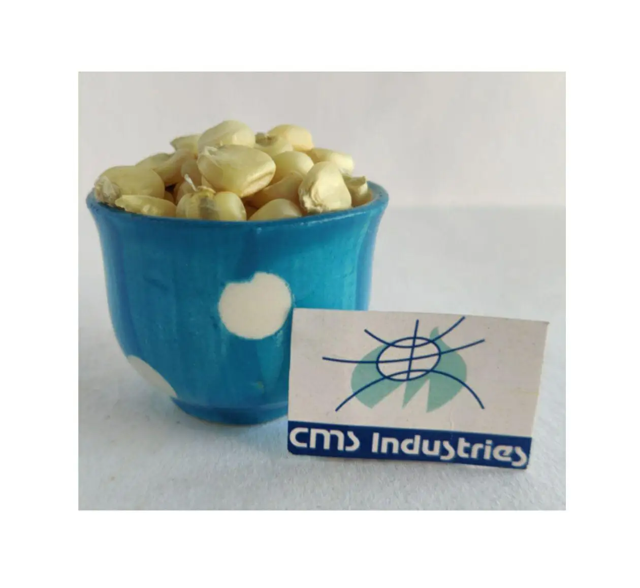 Refine White Maize or Corn for Bird Use