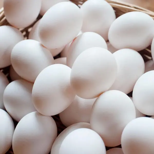 High Standard Best Quality Chicken Egg Fresh and Natural Egg Wholesale Price Animal Products Eggs