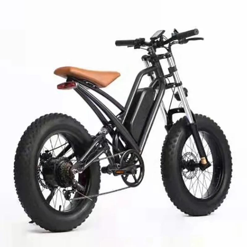 Hot sale 20 Inch Fat Tire Electric Bicycle Electric Mountain Bike  E-bike Electric Scooter With 36V 48V 13AH 350W500W750W Motor