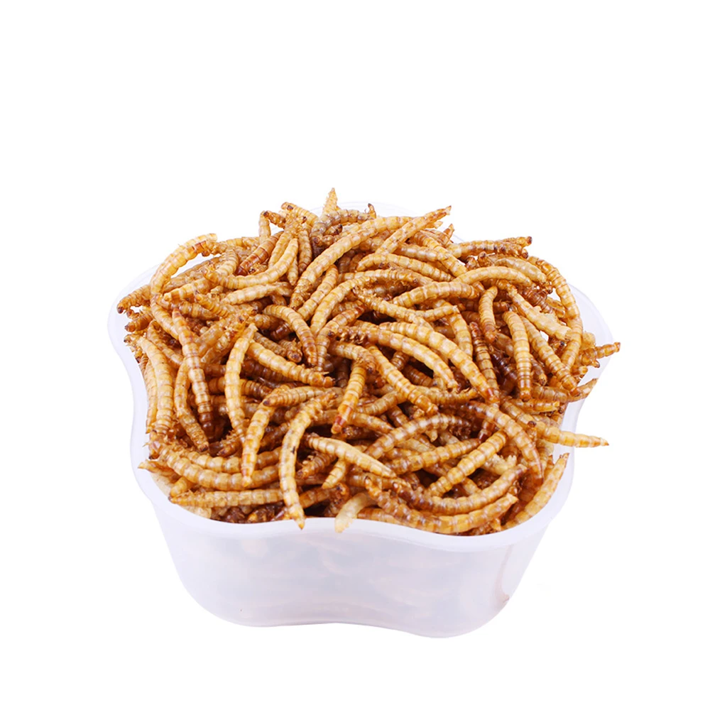  Материал для аквакультуры сушеный белок насекомых Mealworm оптовая продажа Сушеные Желтые еда домашних животных корм птиц хомяка