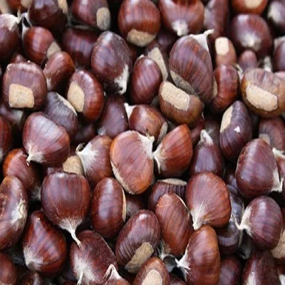 
2021 wholesale chinese iqf frozen edible chestnut 