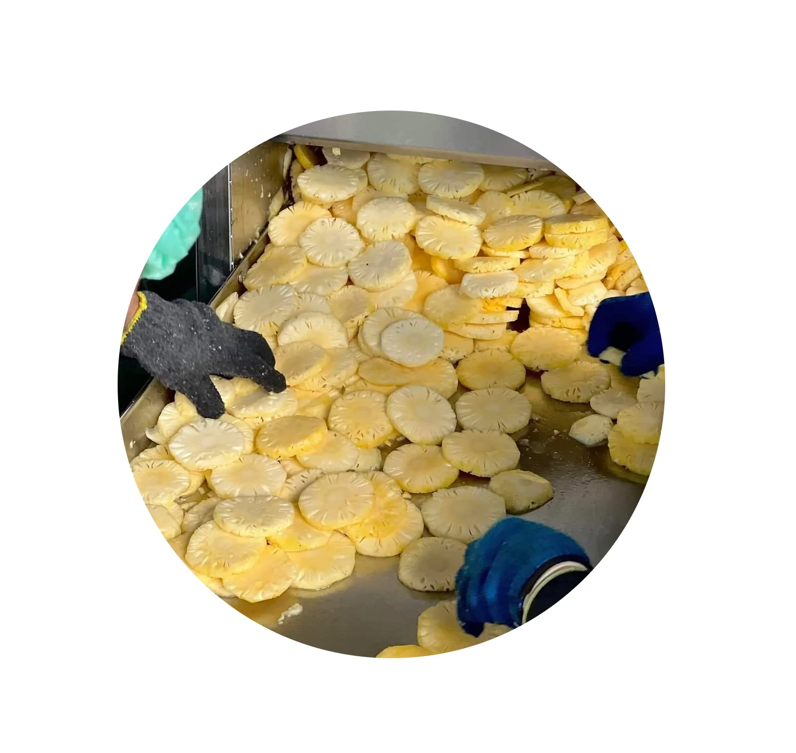 Упаковка OEM сухой ананас сушеный на воздухе лучшее качество из Таиланда приветствуется