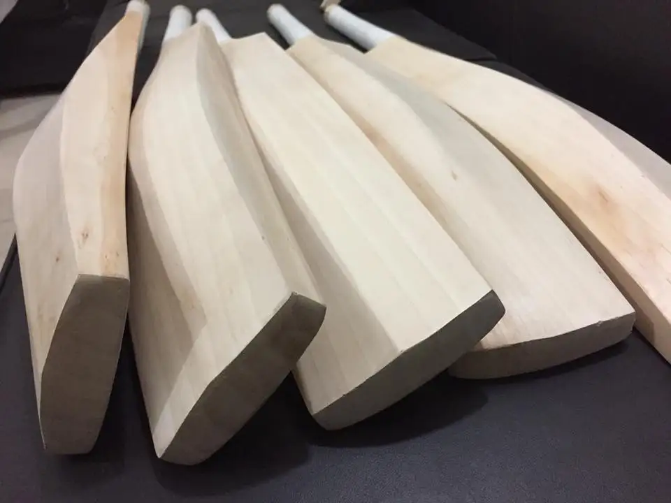 
Plain English Willow Cricket Bat 