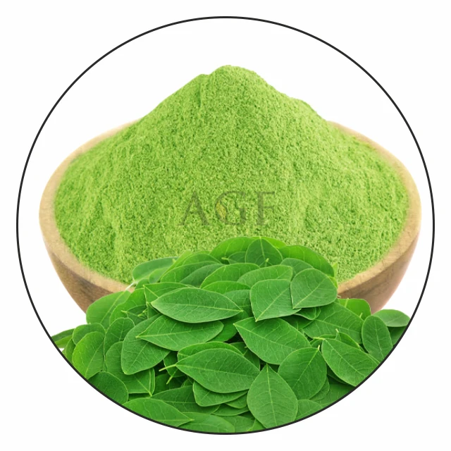 100% Pure Premium Quality moringa powder supply with wholesale price made from moringa oleifera leaf