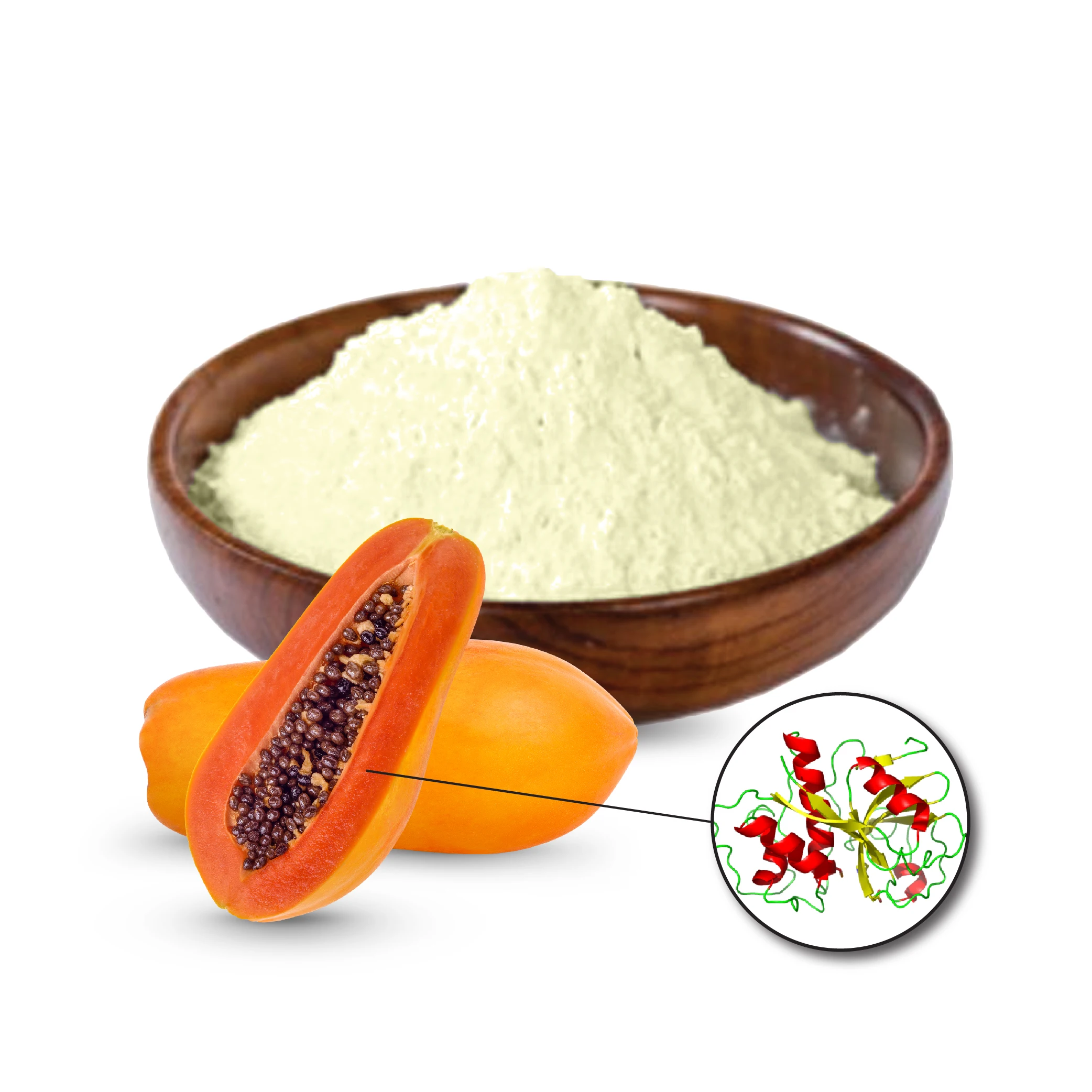 Export Quality Papain Enzyme Supplier - Zealmax Biopharma