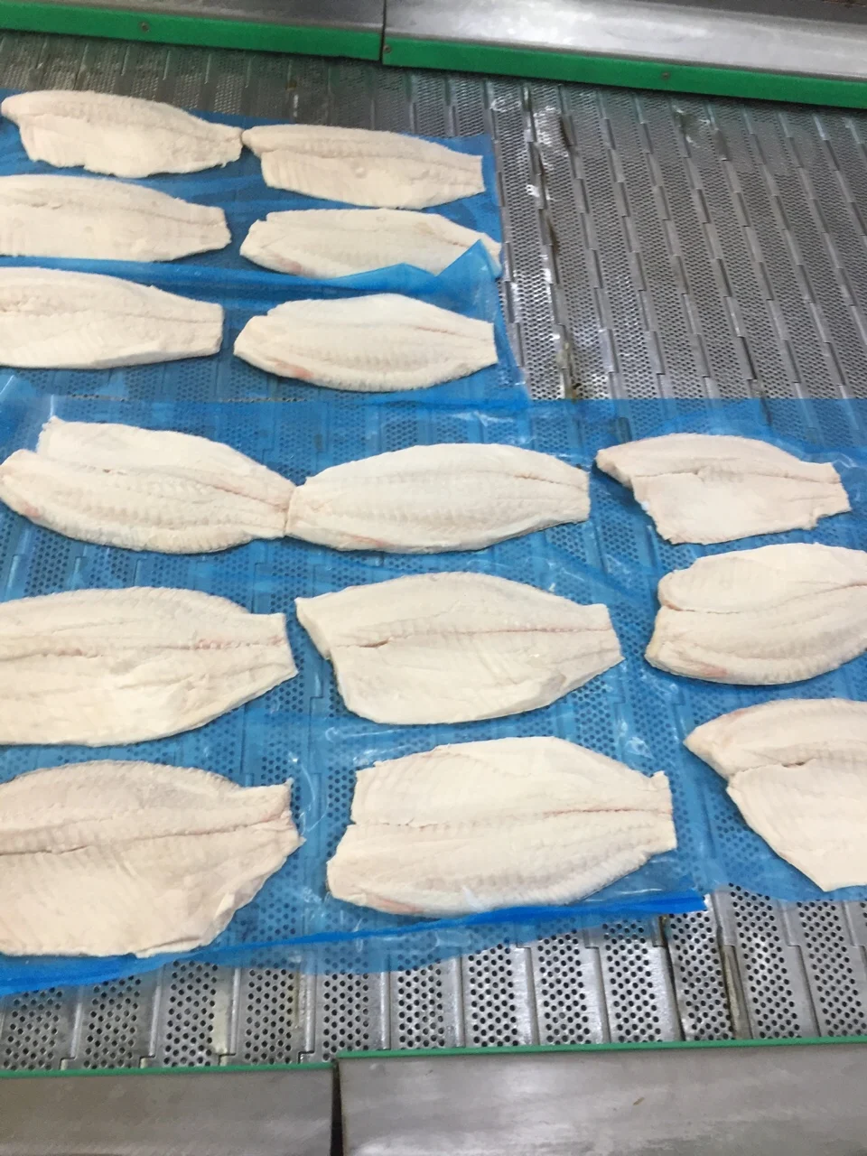 IQF Freezing Bag Tilapia fish Frozen tilapia fish Packaging 1Kilogram Weight per Bag Meat Part Tilapia