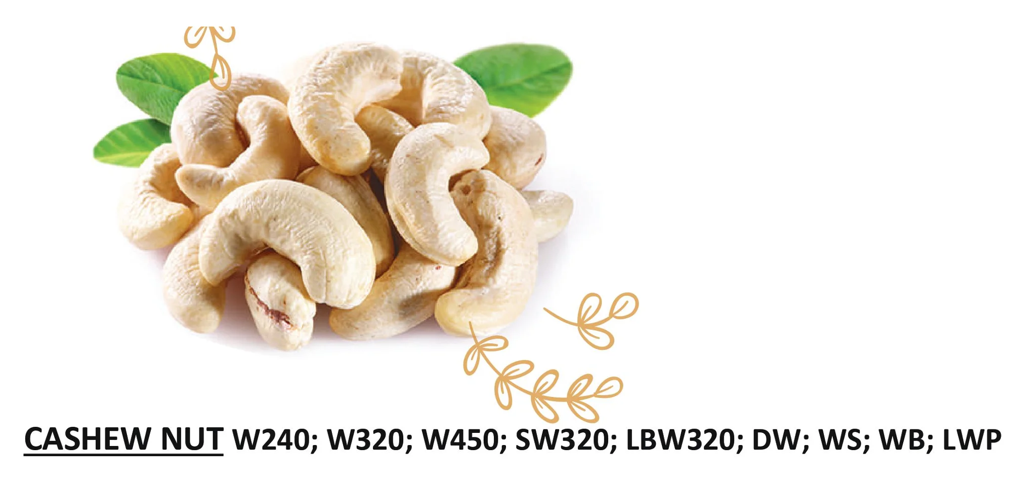 CASHEW NUTS KERNELS
