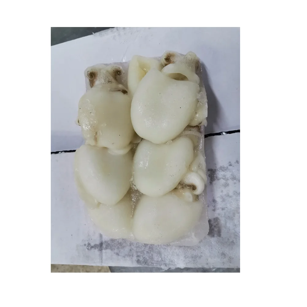 Malaysia Seafood Frozen Whole Cleaned Baby Cuttlefish With Best Price  For Good Quality