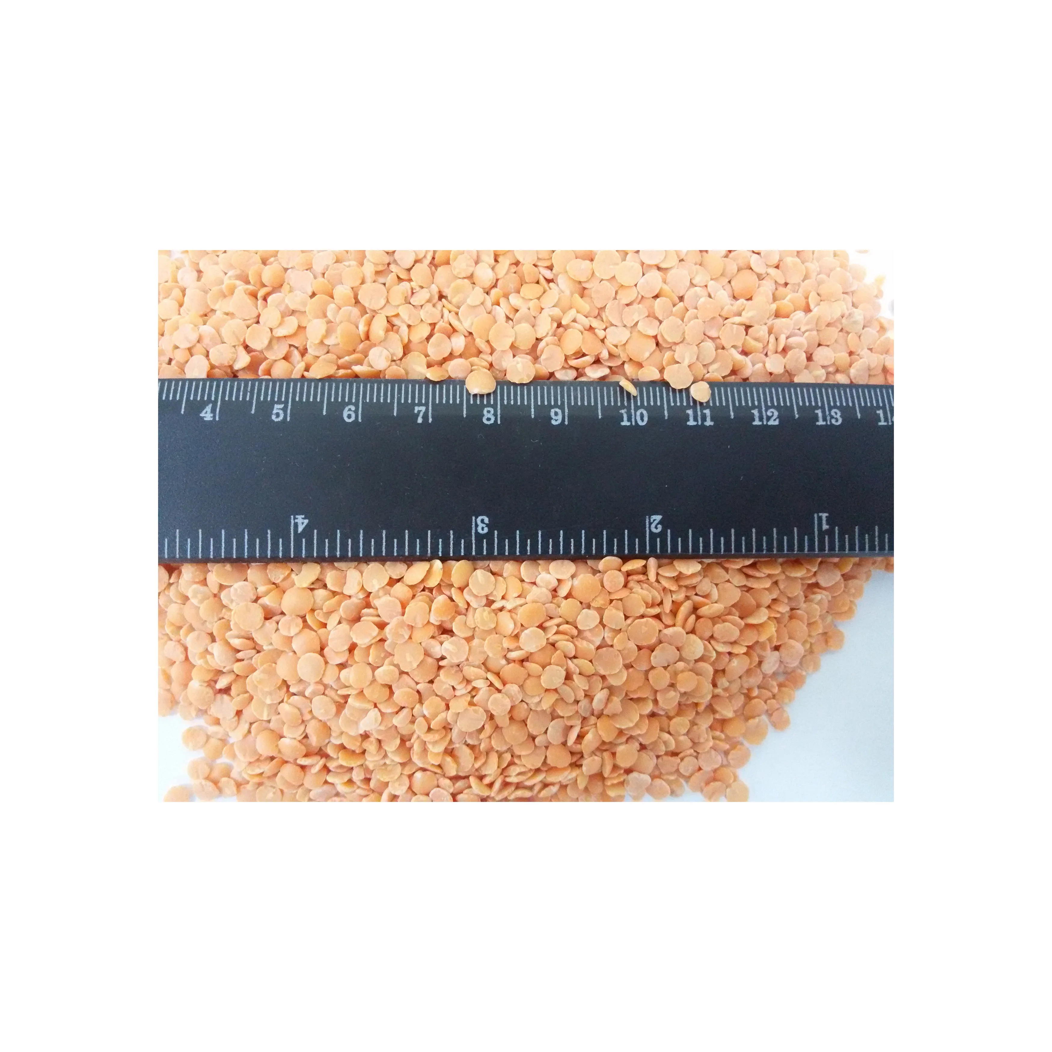 Split red lentil for cooking, vegan garnish