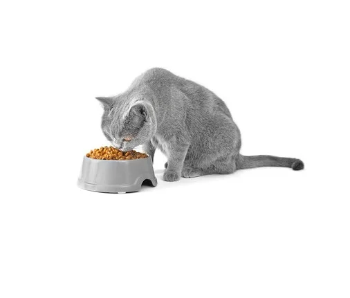 Enriched in nutrients Pet Food Cat Food With 5kg 10kg 15kg 20kg Vacuum Aluminum Packaging Made in Malaysia