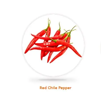 FRESH CAPSICUM ORJIN TURKEY Red  Chile Pepper Stuffed  Lobna pepper Charleston Hungarian Bell Stuffed Peppers