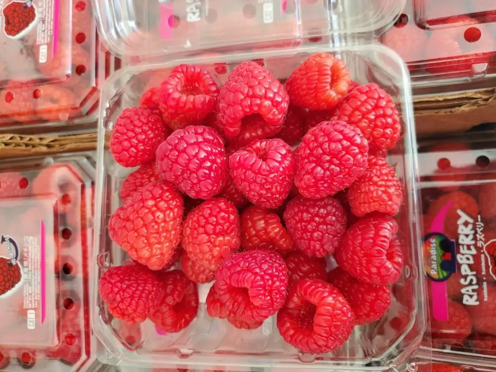 
High Quality Fresh Raspberries 