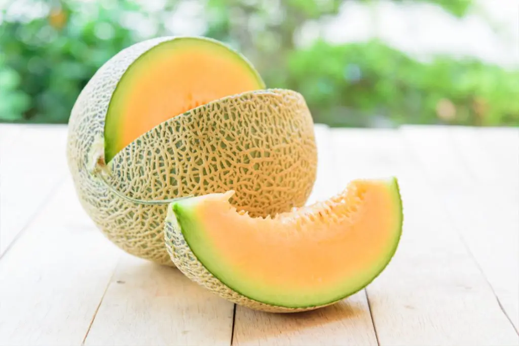 
Premium Cantaloupe King Melon Taken Care By Japanese Standard Procedure 