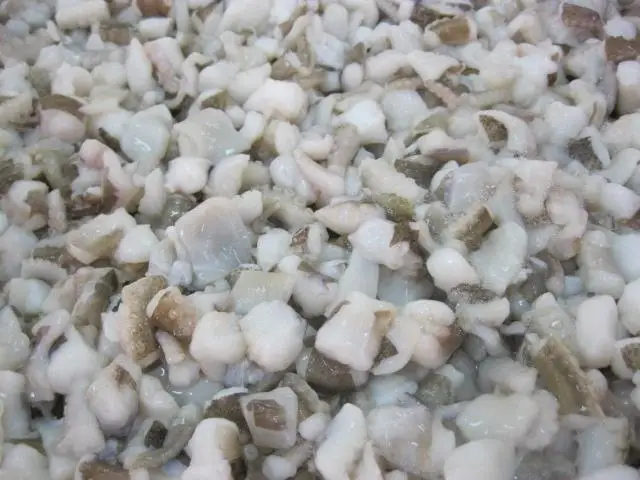Vietnam top quality frozen octopus small cut