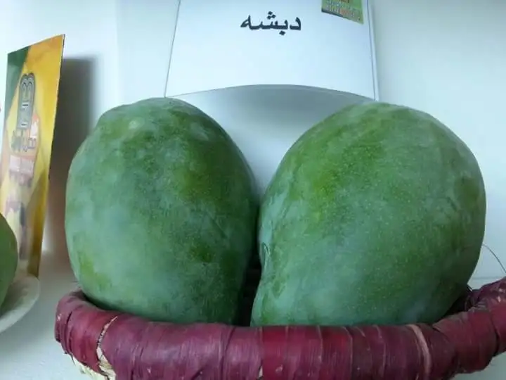 Новый Урожай манго