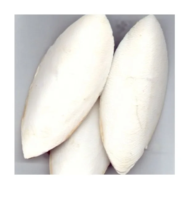 Корм для рыбы, рыбы, кости, попугаи, птицы, рептилии, корм, корм для черепахи (WS: 0084987731263)