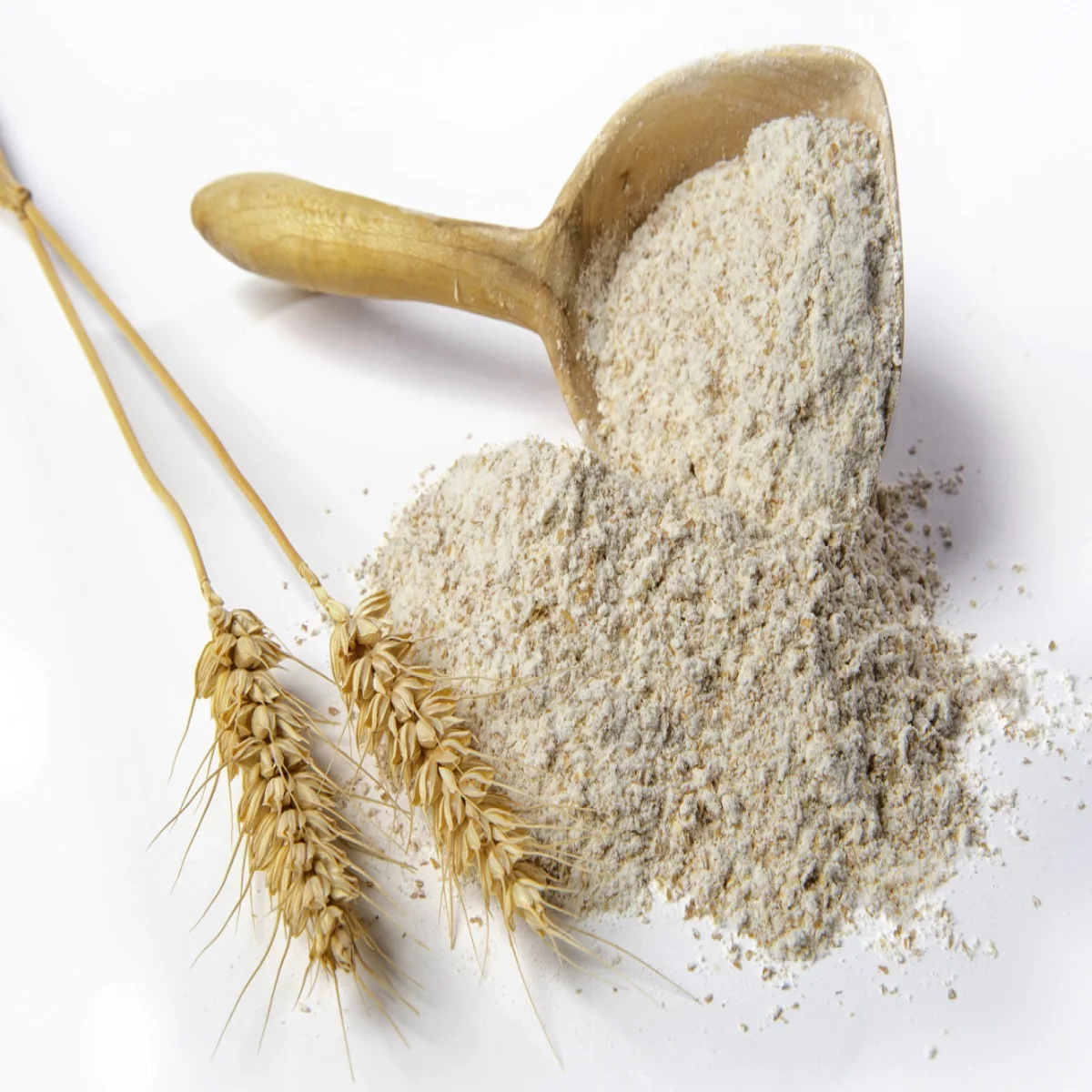 wheat grain flour.jpg