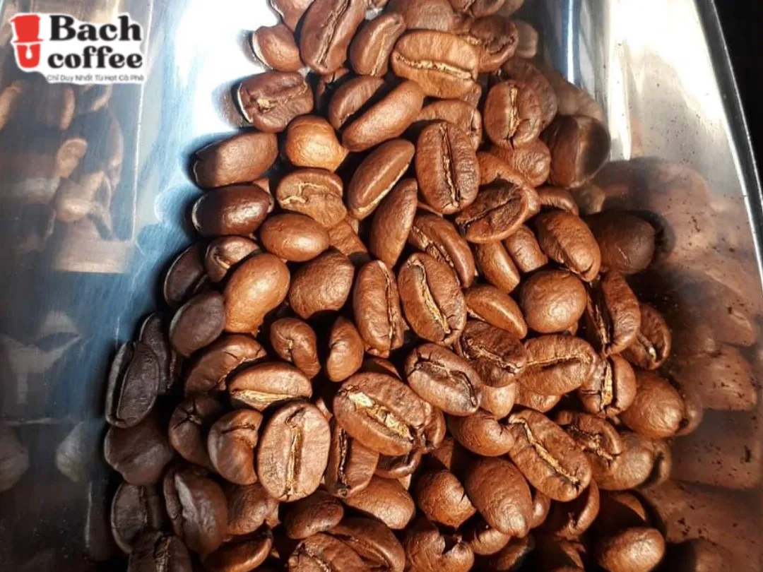 Espresso Italiano Whole Bean Coffee Blend, Medium Roast, Small Batch ,  Hand Picked , Fair Direct Trade , Private label