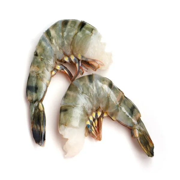 TIGER SHRIMPS3.jpg