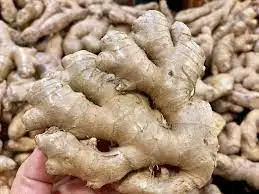 Стандартный отличный свежий