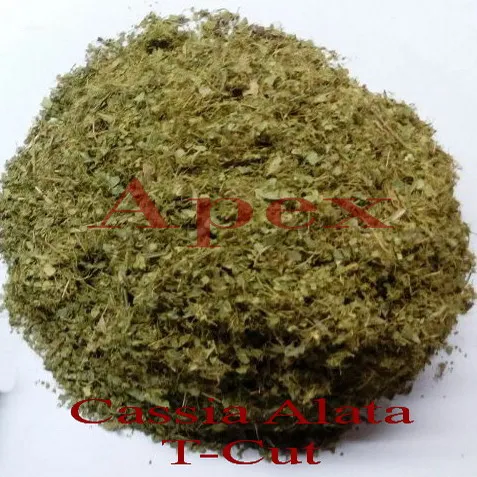 CASSIA ALATA LEAVES DRIED AND  T CUT