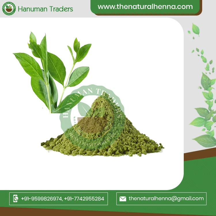 Organic Colorless Neutral Henna Powder For Sale Buy From Trusted Exporter From India