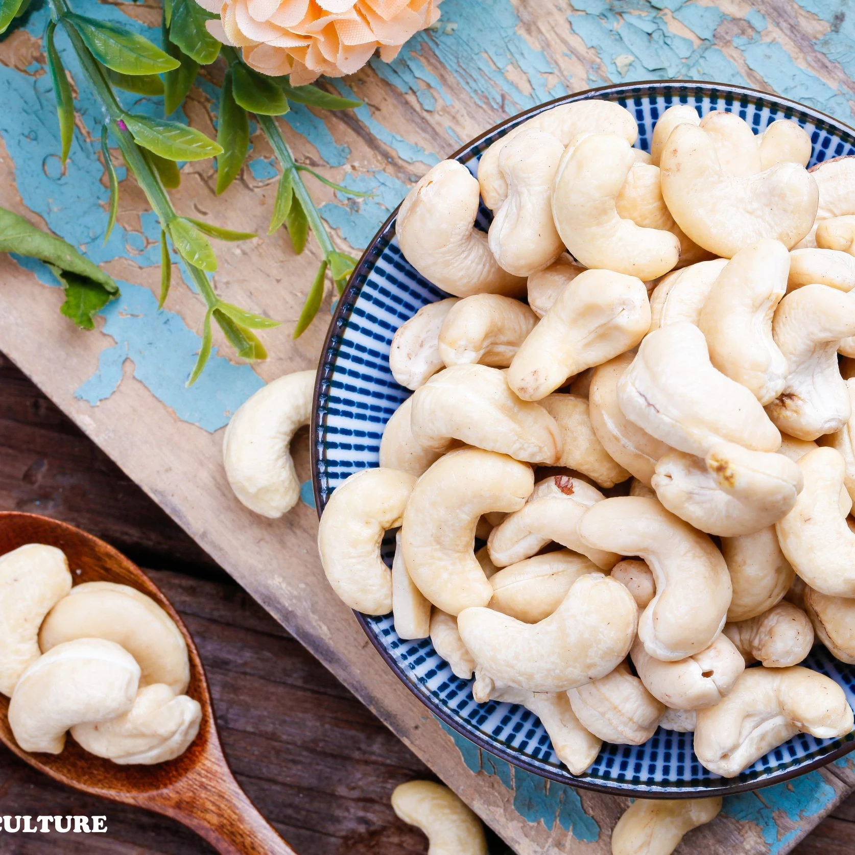 Wholesale Cashew Nuts (W180 W240 W320 W450) All type are available - W450 / Best quality from Vietnam