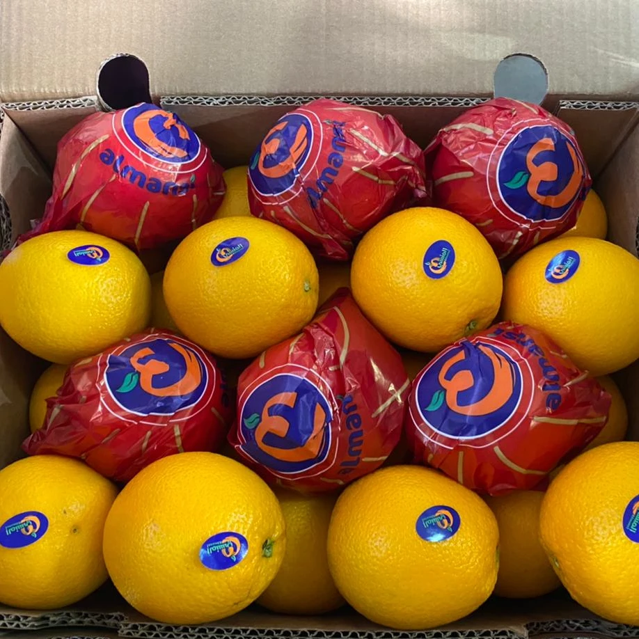 Fresh Valencia orange готова к экспорту сезон 2022 во