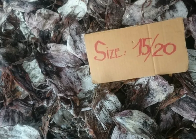 
HIGH QUALITY - DRIED BLACK SQUID 