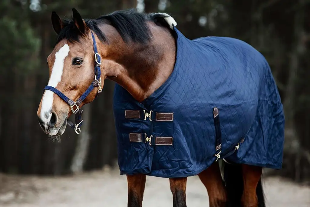 Лидер продаж оборудование для лошадей продукция Equine конный коврик дышащий комбинированный устойчивый