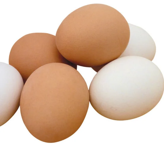 White Fresh Chicken Table Eggs/ Artificial Ostrich Eggs For Sale