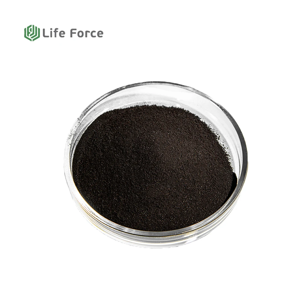Humic Acid raw material - Leonardite from Siberia - Life Force - Class A - SL 105/1000 up to 90 % Humic Acid Organic Fertilizer