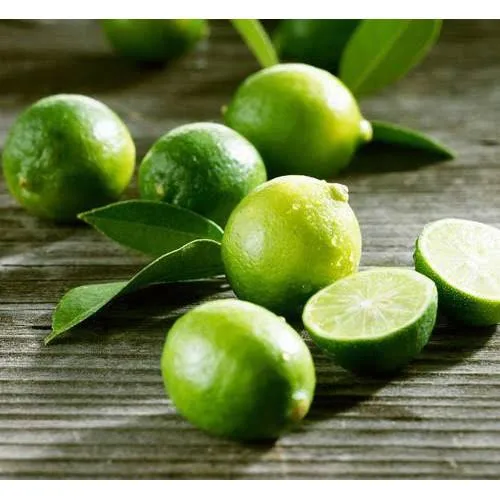 Wholese High Quality New Harvest SEEDLESS LIME LEMON From Viet Nam